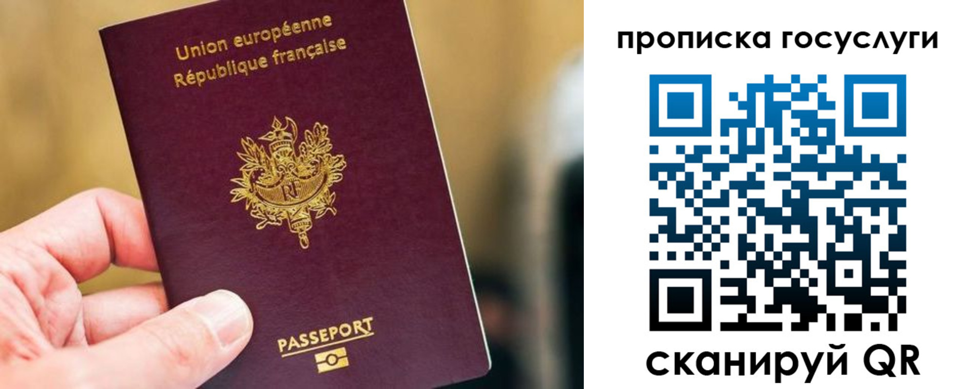 временная регистрация поиск в Обояни